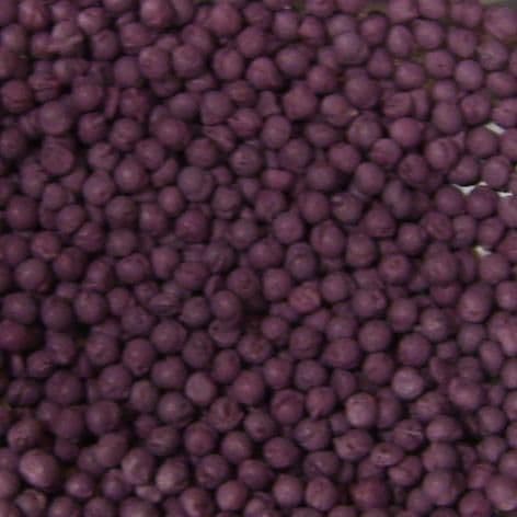 Millions Blackcurrant