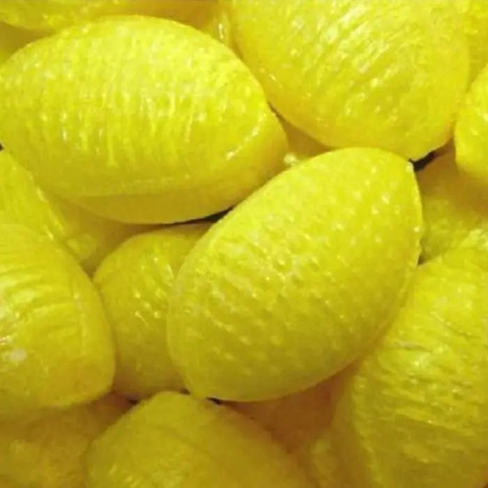 Sugar Free Sherbet Lemons
