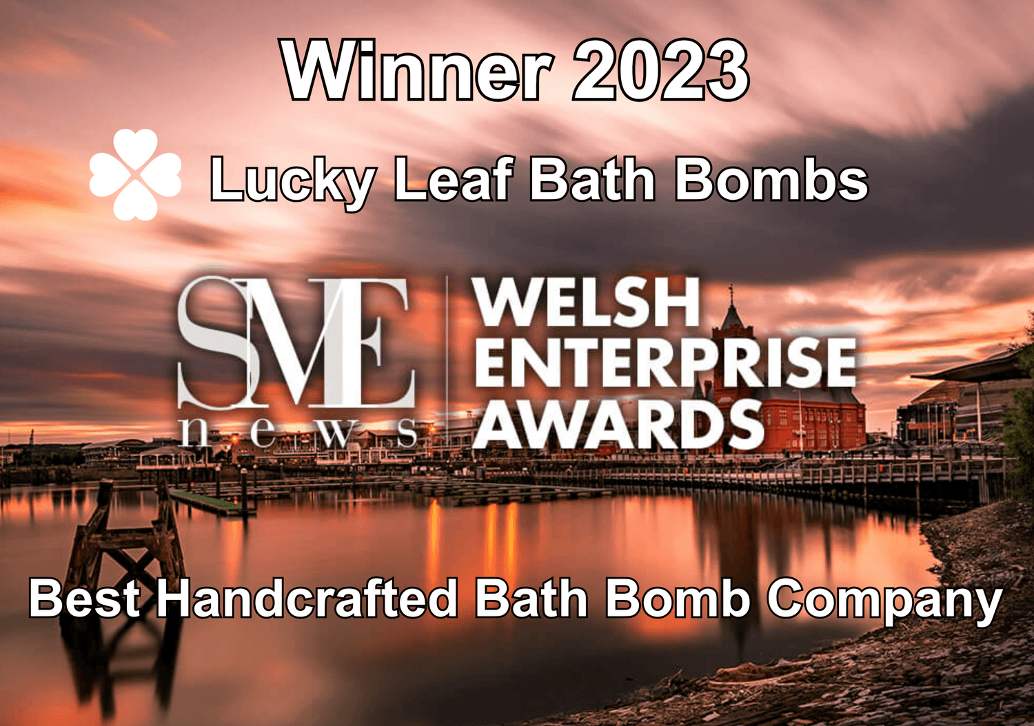 WINNER 2023 - WELSH ENTERPRISE AWARD