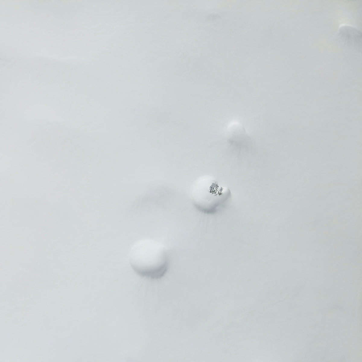 a snow covered field with a bird flying over it