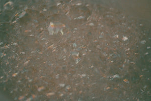 Unwind With the Seasons: How Seasonal Changes Affect Your Bath Bomb Choices