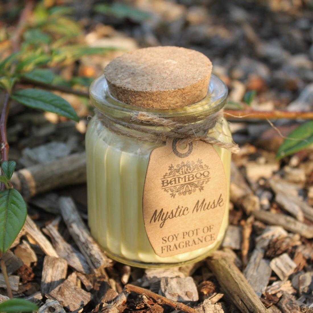 Mystic Musk Soy Pot of Fragrance Candles