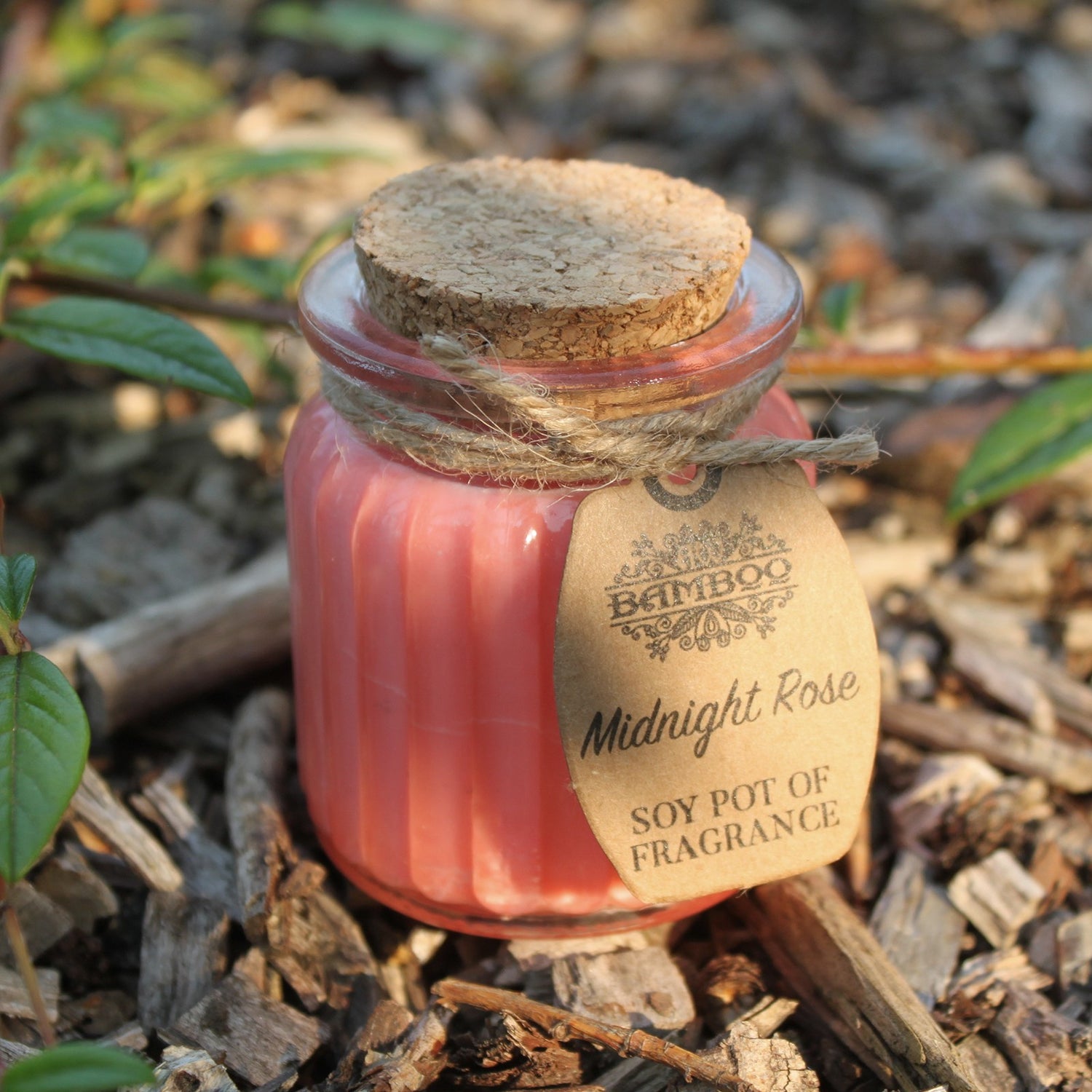 Midnight Rose Soy Pot of Fragrance Candles