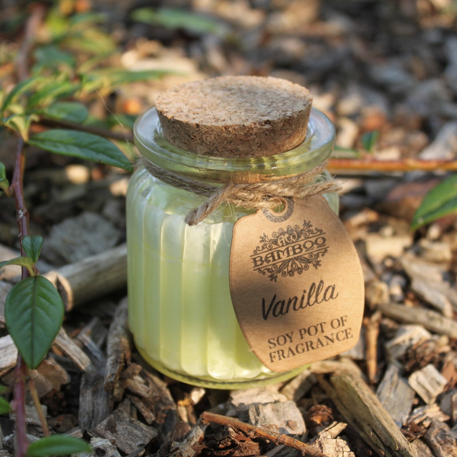 Vanilla Soy Pot of Fragrance Candles