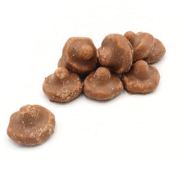 Chocolate Covered Mushroom