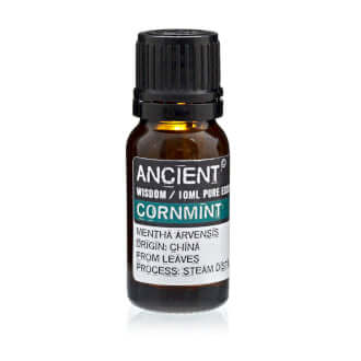 Cornmint Pure Essential Oil