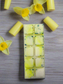 Daffodil Wax Melts Snap Bar