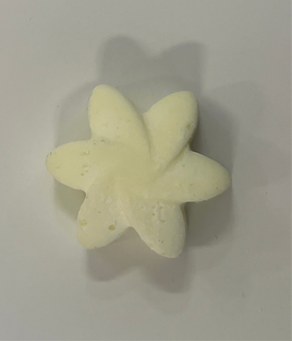 Japanese Magnolia  - Wax Melt