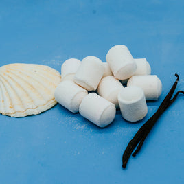 Sea Salt & Vanilla Mini Bath Bomb