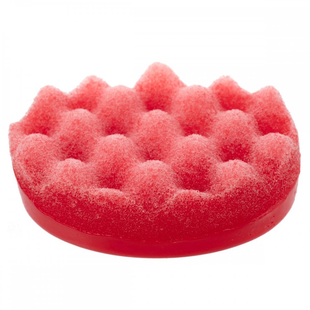 Christmas Vibes Soap Sponge