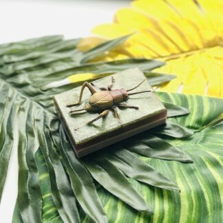 Insect Toy Soap Bar