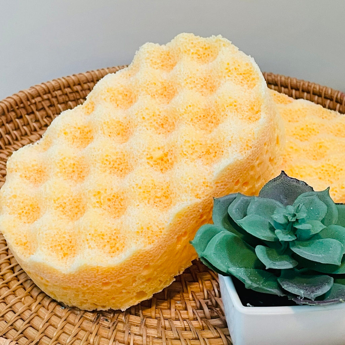 Sex on the Beach Soap Sponge