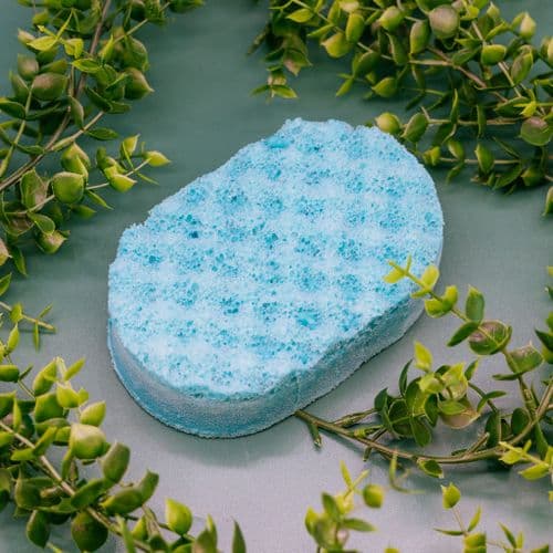 Mint Tingle Soap Sponge