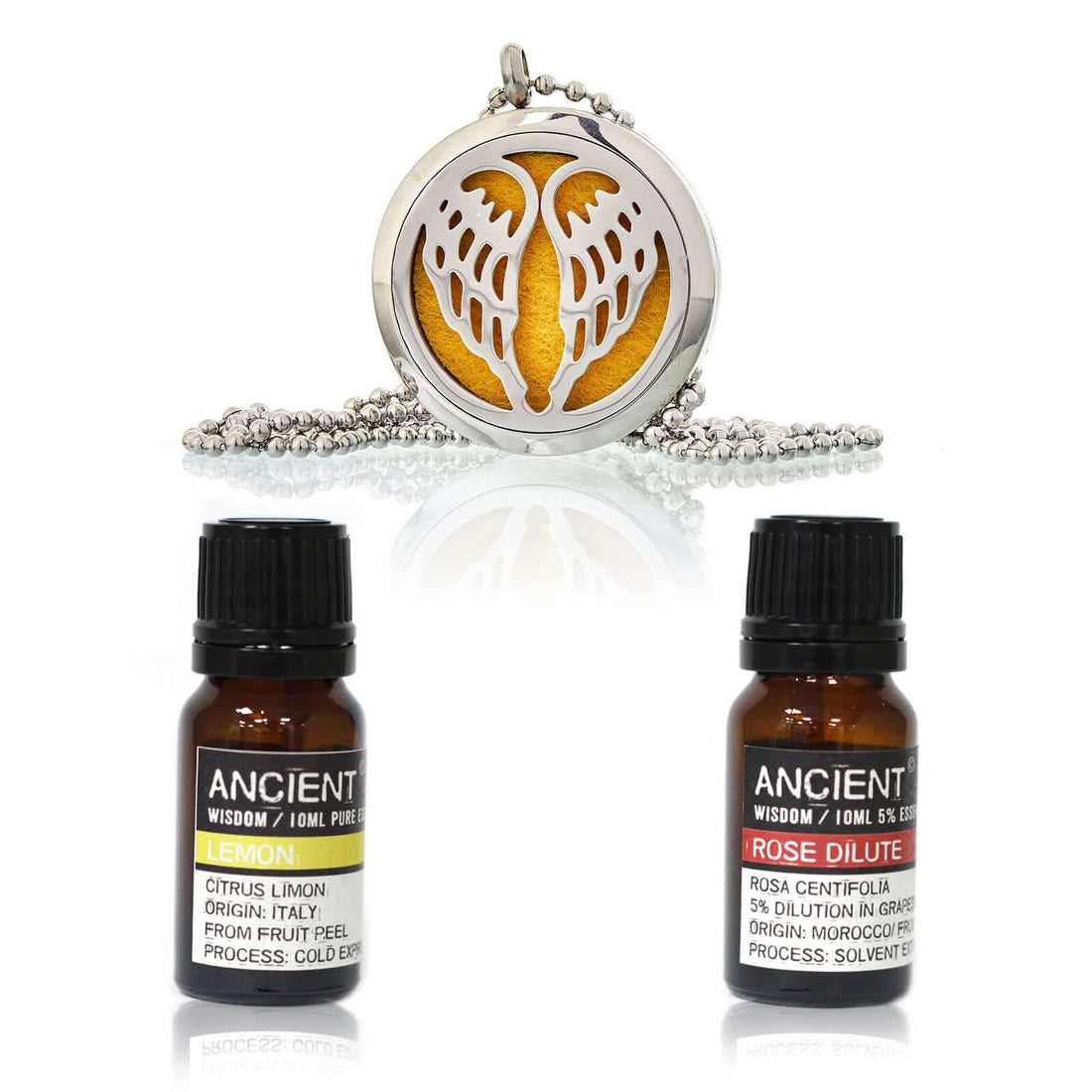 Diffuser Necklace and Essential Oils Set