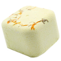 Focus Booster Shower Steamer